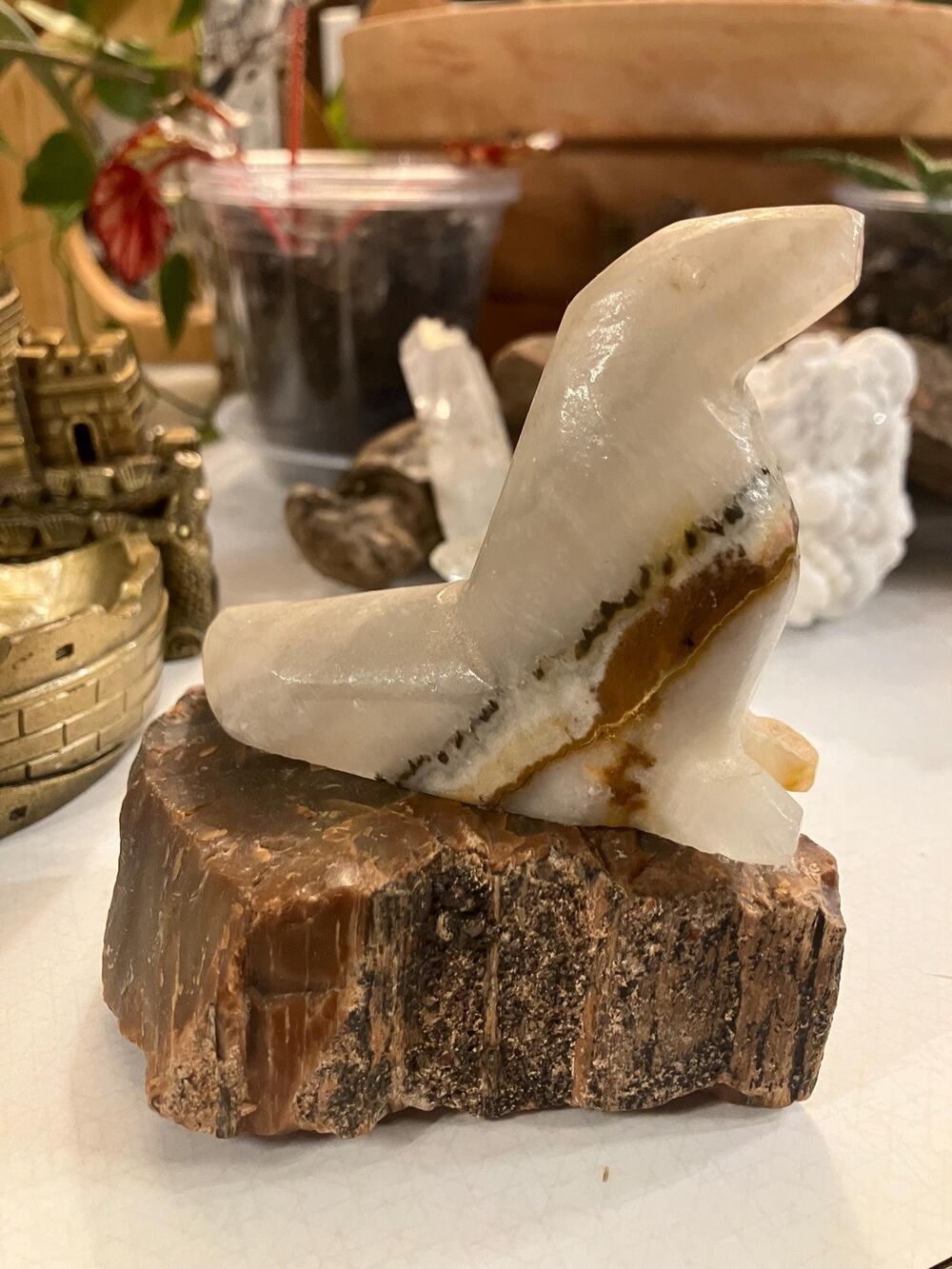 Onyx Seal on Petrified Wood (2pc.)